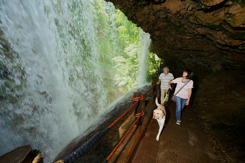 旅先の長野県の「裏見の滝」で。飼育奉仕で預かっていた犬と=2019年撮影