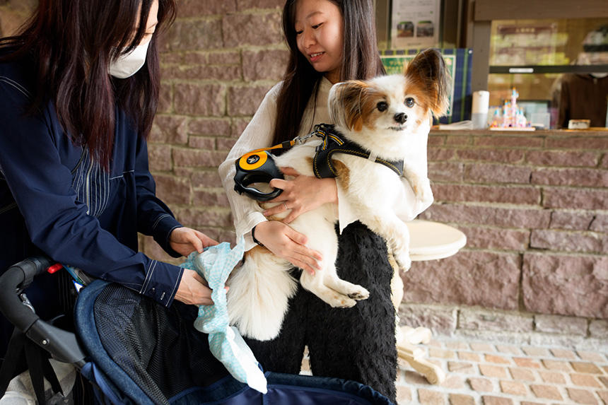 （上2枚）「ロックハート城」では、リニューアル後、おむつ（マナーパンツ）の着用が義務化された。持参するか、チケット売り場で購入して入場前に着用する