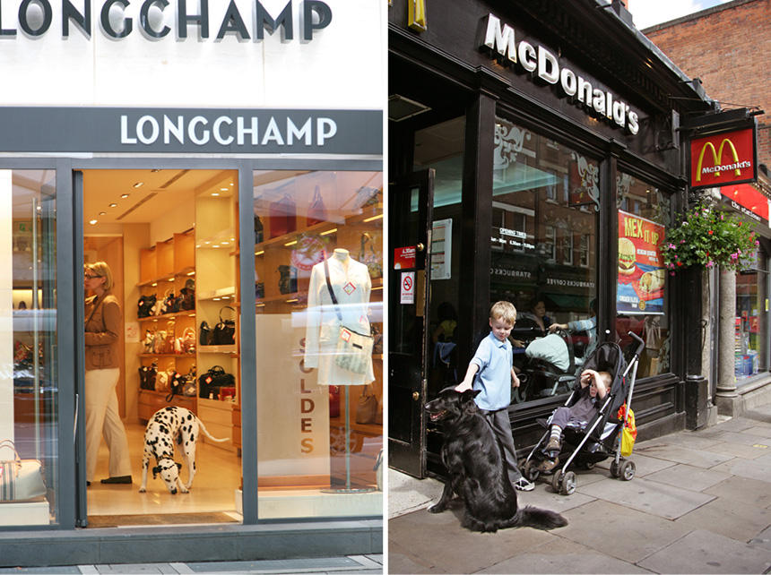 ベルリンのブティック（左）で、飼い主と一緒にノーリードのまま店内に入る大型犬。一方、ロンドン郊外のマクドナルド（右）では、犬は店外で子どもたちと一緒に飼い主を行儀よく待っていた
