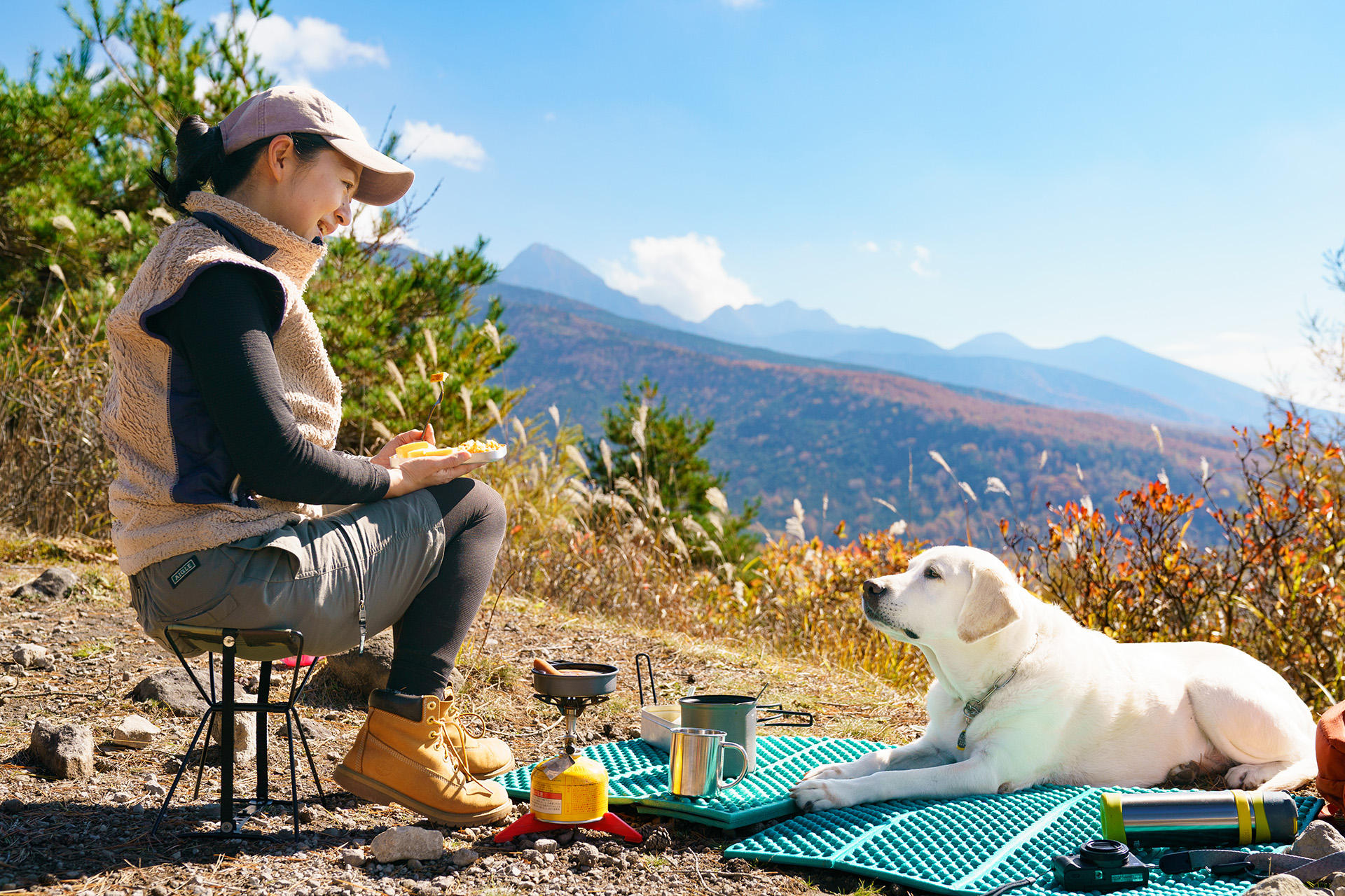 「リタイア犬日記」出展作より　八ヶ岳を望む高台で