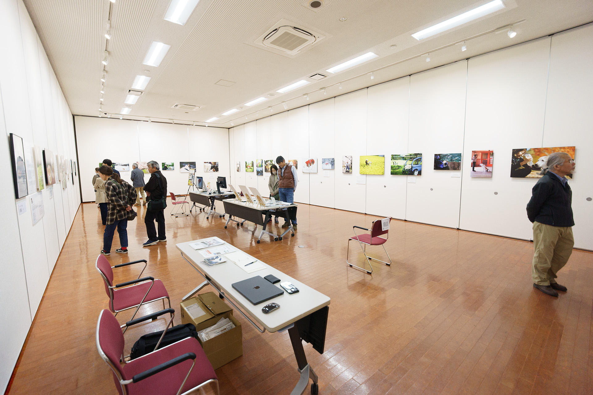 Dog Snapshot R 令和の犬景Vol.56　写真展「リタイア犬日記」を開催　愛犬と皆様に感謝を込めて