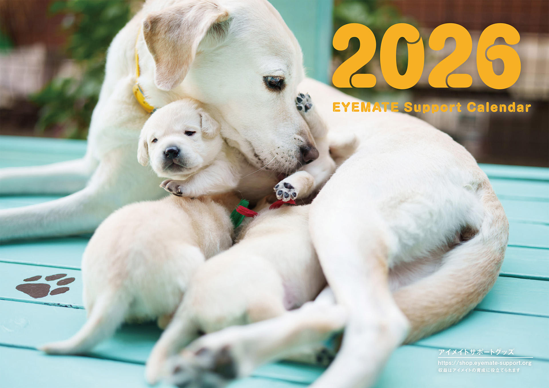 Dog Snapshot R 令和の犬景Vol.57　「アイメイト・サポートカレンダー」で振り返る1年