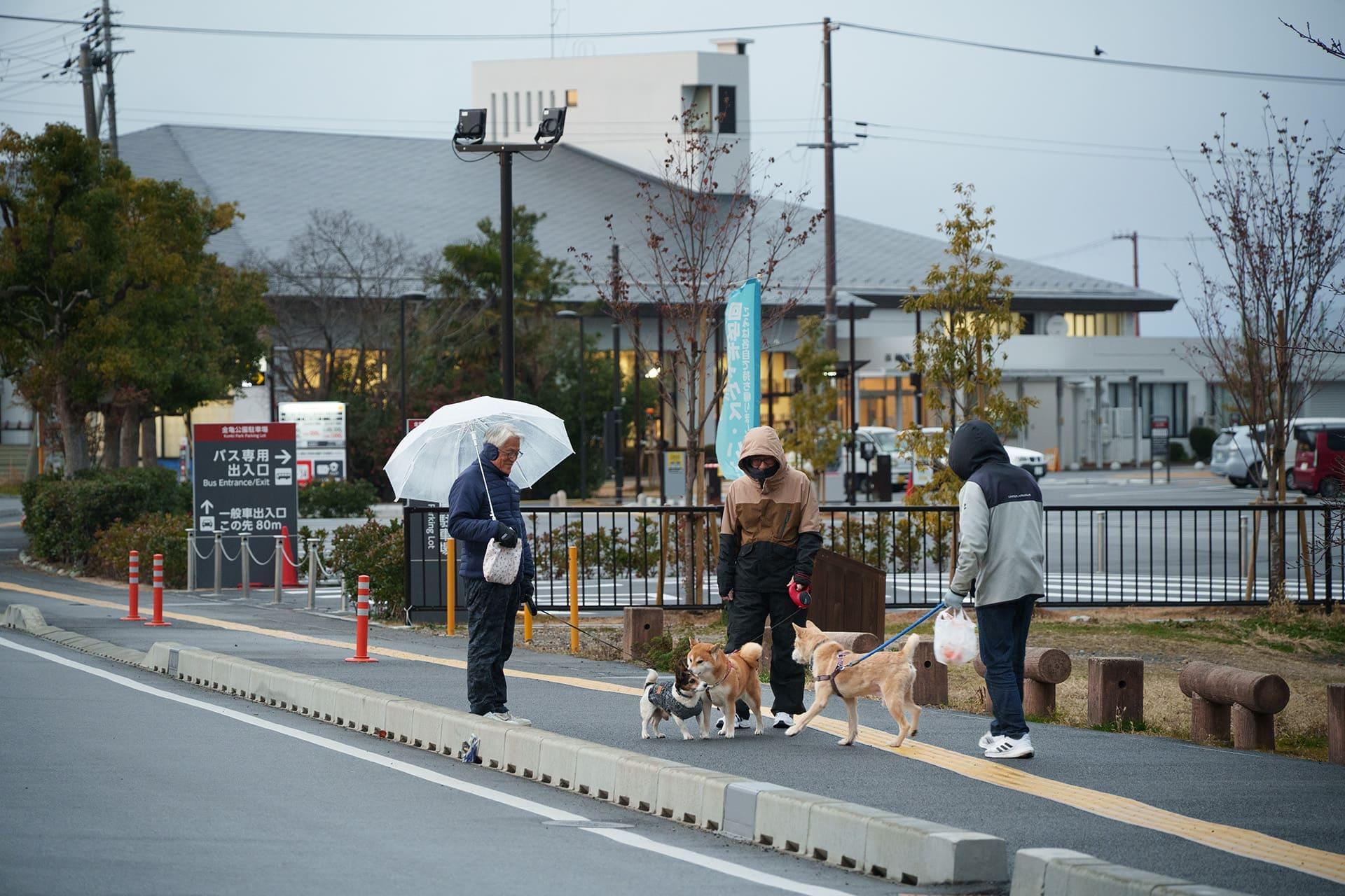 街歩きを終えて旧盲学校の図書館前に戻ってくると、散歩中の犬たちと飼い主さんたちが笑顔であいさつを交わしていた（2026年1月）