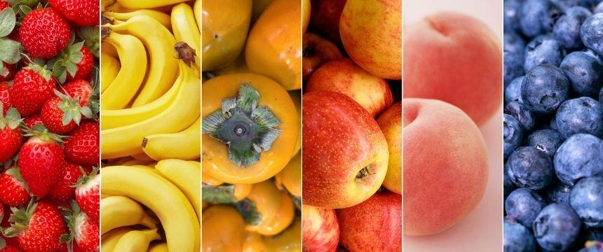 犬が食べて良い果物とは？オススメのフルーツ3選