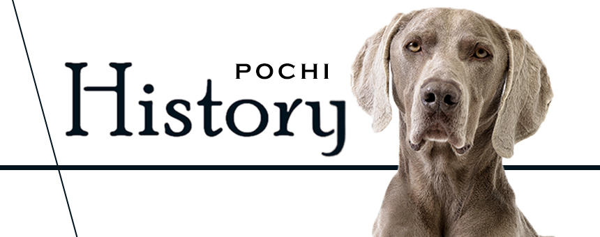 POCHIブランドヒストリー