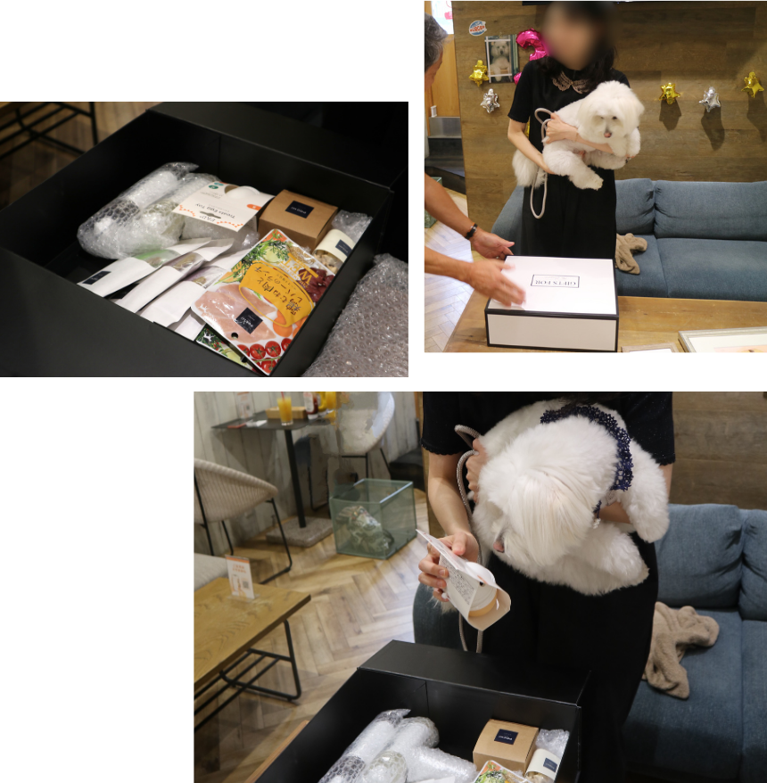 犬のしあわせ実行委員会から「POCHI オリジナルお楽しみボックス」を贈呈。ももちゃんも中身が気になる様子。