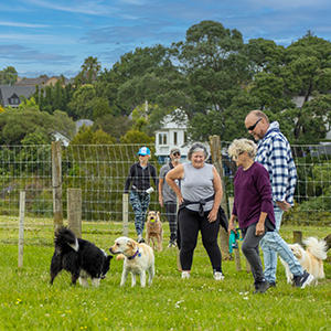 メオラ・リーフ・リザーブを利用する犬と飼い主たち