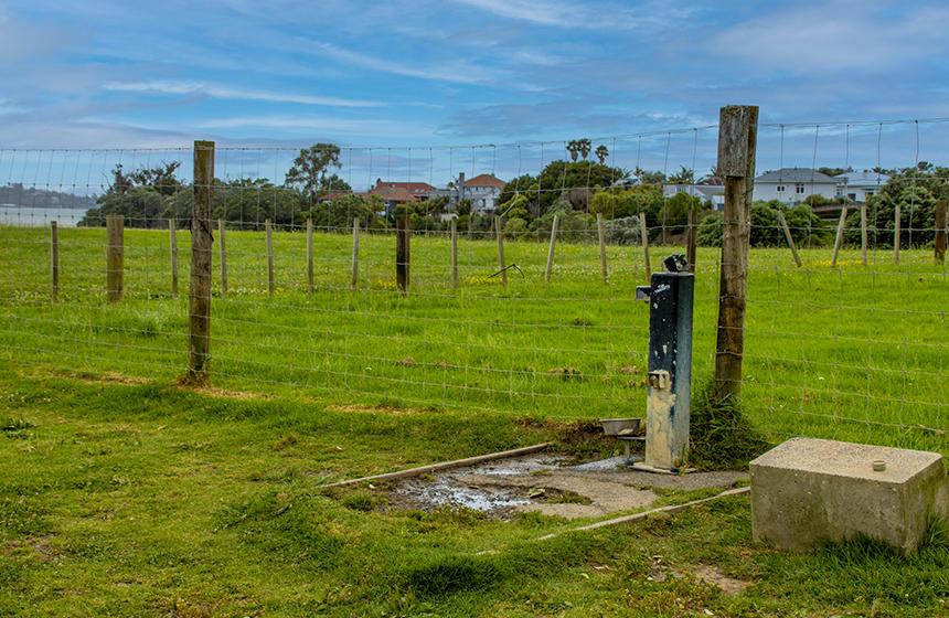 メオラ・リーフ・リザーブの犬の水飲み場