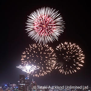 年明けとともに花火が上がります。