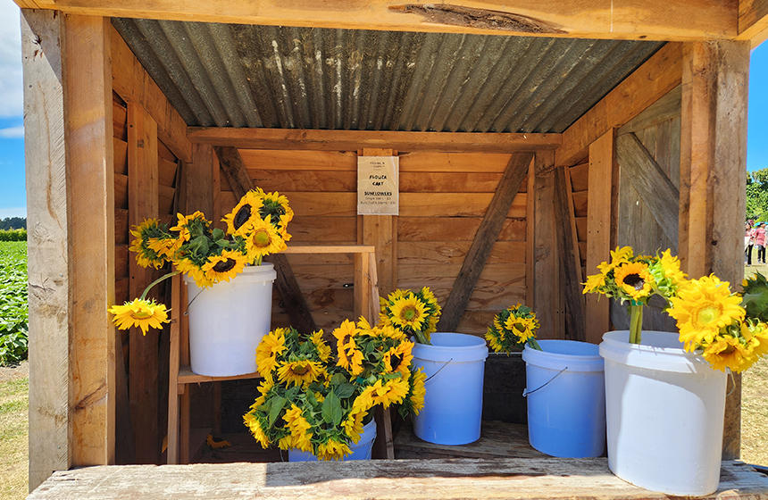 切り花を買ったり、自分でカットしたりもできます