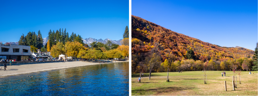 左：クイーンズタウンのワカティプ湖畔／右：アロータウンの秋の風景
