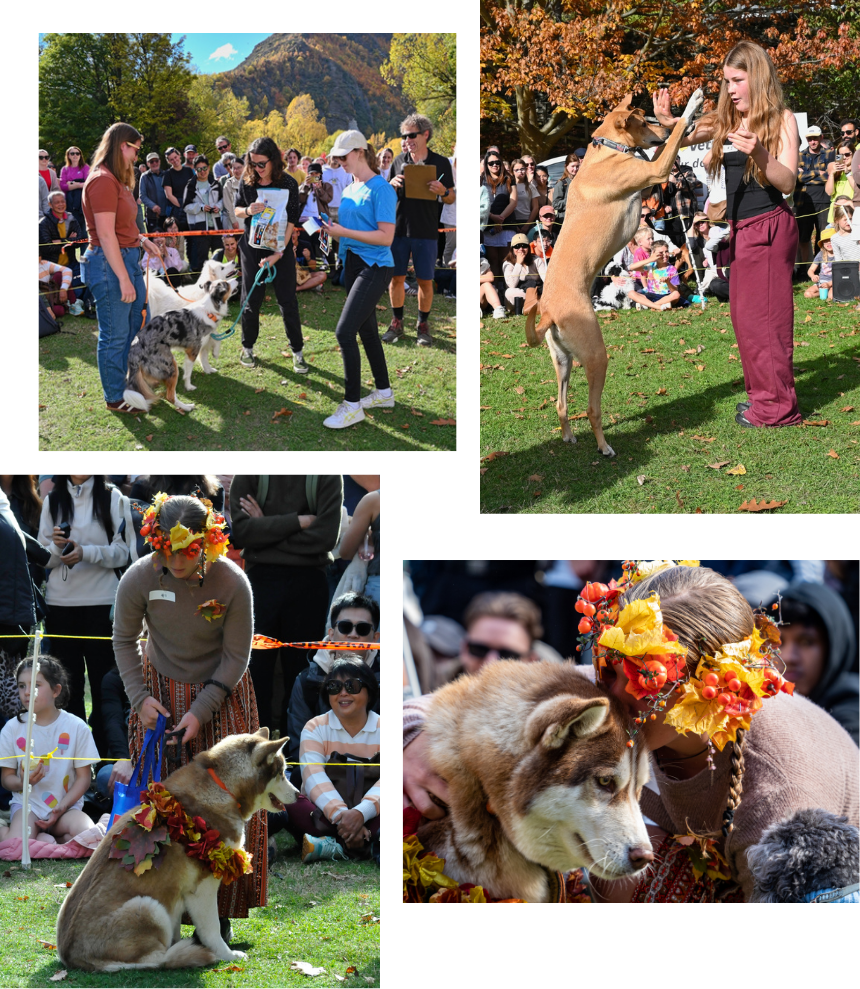 撮影：Colin Walkington ※右下のみ:Elena Quinteiro