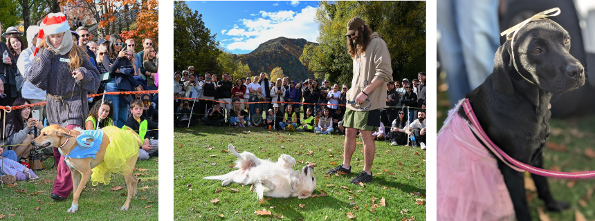 撮影：左、中央:Colin Walkington／右:Elena Quinteiro