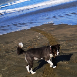 黒砂のビーチではやけど対策が必要