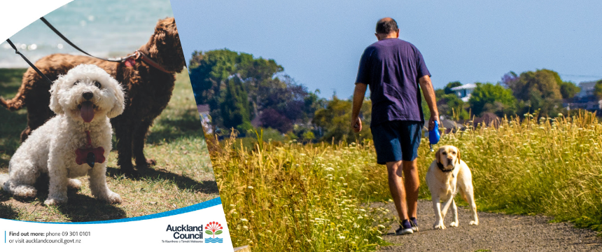 特典が満載！優秀な犬の飼い主が得られる資格「RDOL」とは？～南半球のDog's letter～