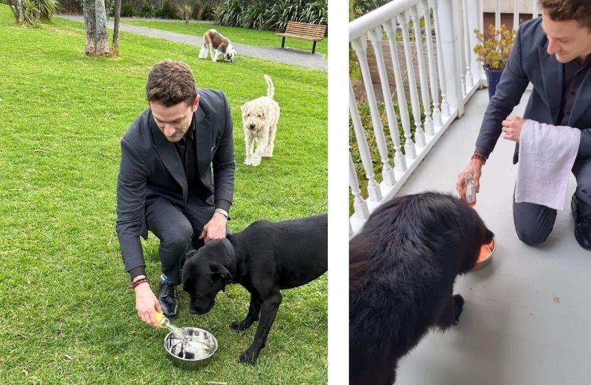 ペットワインを楽しむ犬たち。男性はジョンさん