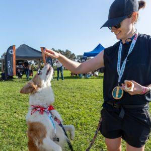 飼い主は犬に犬用クッキーをあげ、自分は人間用のソーセージとパン（NZのイベントではソーセージシズルと呼ばれるホットドッグを食べるのが定番です）を持っています。
