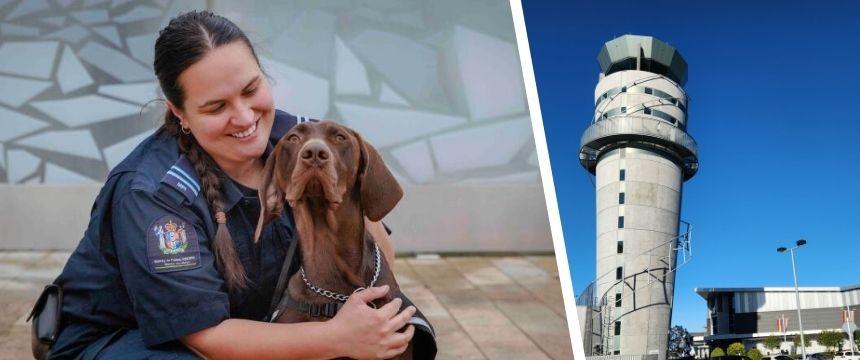 保護犬から空港の探知犬へ。NZで生まれた奇跡のキャリアとは～南半球のDog's letter～
