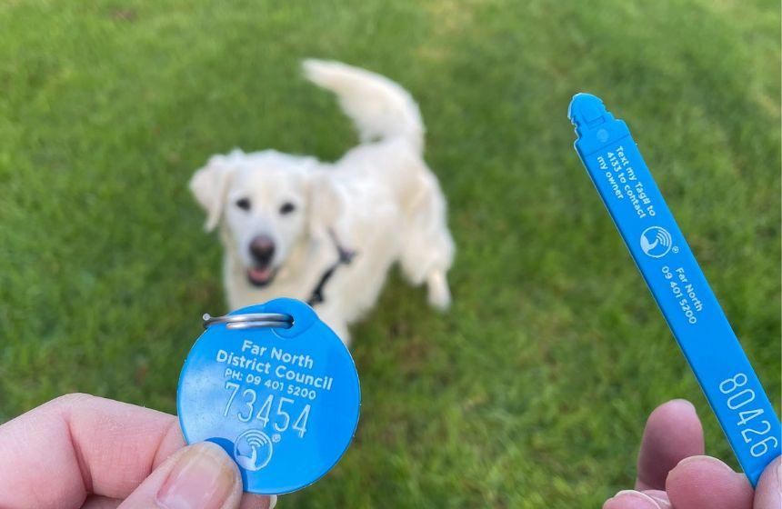 ファーノース地方の新しいDoggone社製犬タグ。ストラップタイプのタグもあります