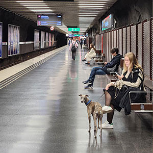 ヨーロッパでは比較的犬と一緒に利用できる施設が多かったように感じます。こちらはストックホルムの地下鉄駅