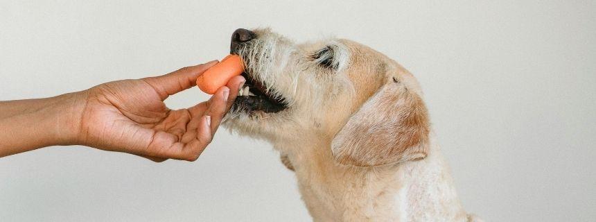 画像をタップで記事へ移動