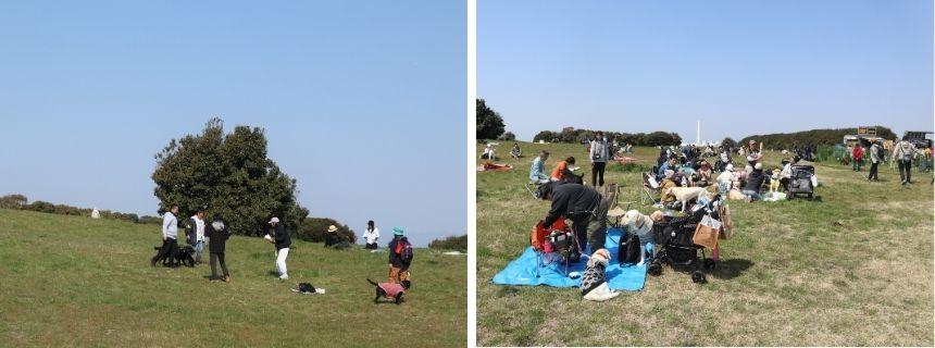写真左：ピクニックにピッタリな緩やかな丘に囲まれていました／写真右：持参したレジャーシートの上にキャンプ用の椅子を置く人の姿も