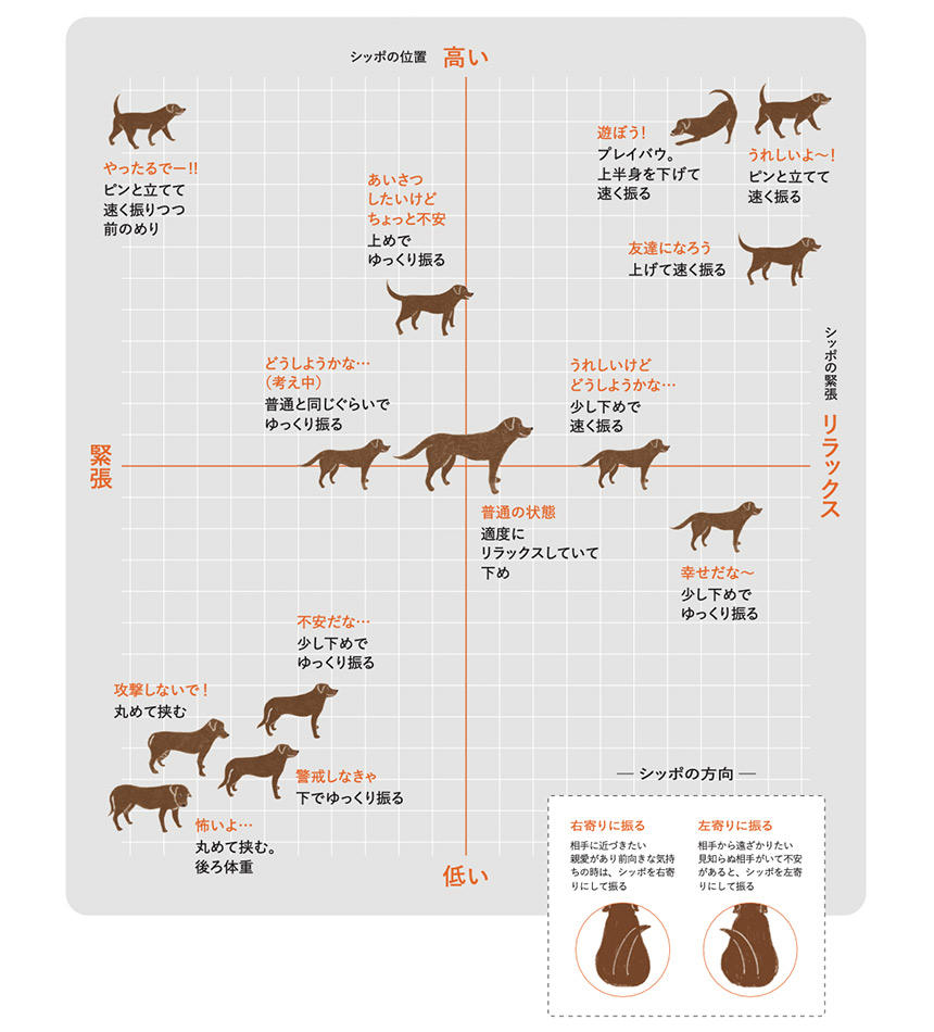 シッポの位置と気持ちの読み取り方の図