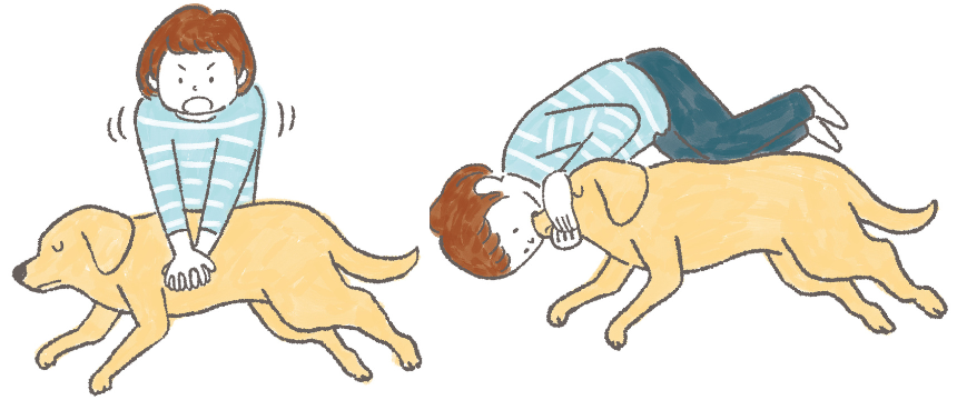 元気だった犬の体調が急変！もし帰宅したとき倒れていたら...《RETRIEVER + POCHI archive027》