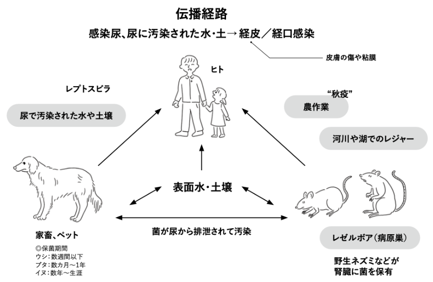 動物の感染症 動物の感染症 | 明石博臣 |本 | 通販 | Amazon