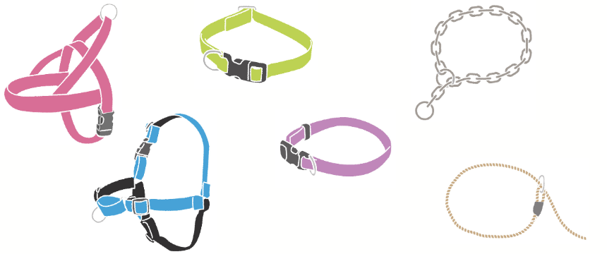 間違いだらけの首輪・ハーネス選びにさようなら！《RETRIEVER + POCHI archive038》
