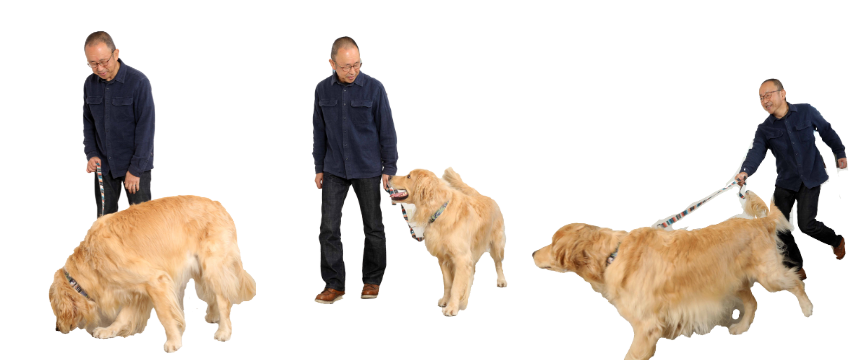 おざなりになっていたら要注意！犬のしつけを見直してみない？《RETRIEVER + POCHI archive042》