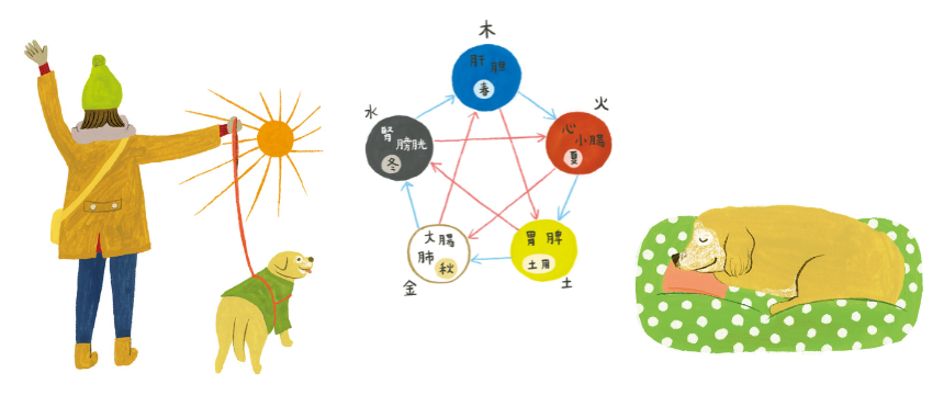 冬は生命エネルギーを温存して温かく過ごすことが肝心《RETRIEVER + POCHI archive045》