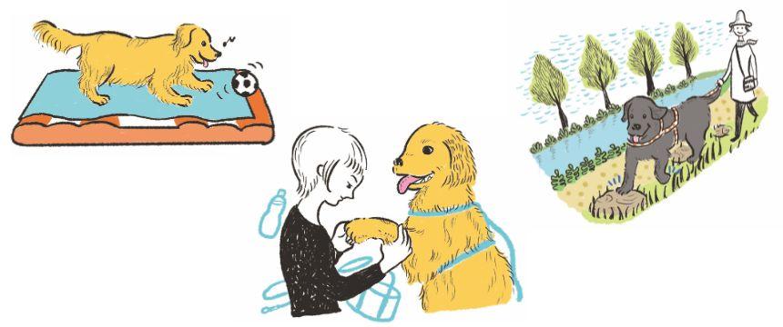 シニア犬が日課にしたい三つのこと -前傾姿勢を正して歩くために-《RETRIEVER + POCHI archive050》