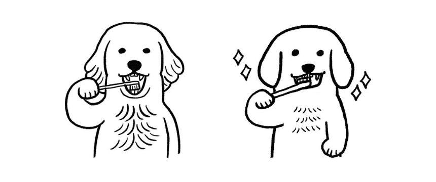 犬の口はなぜ、におうのか？〜クイズ編〜《RETRIEVER + POCHI archive053》