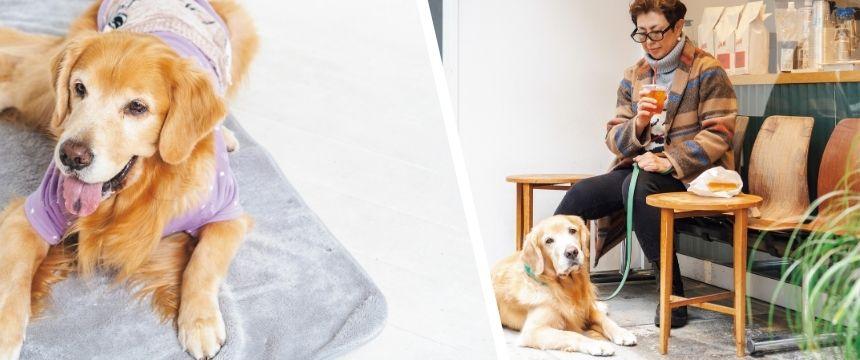 ライフステージ別「好き」の増やし方と生かし方 ５〜９歳編《RETRIEVER + POCHI archive070》