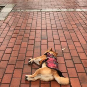 雨はあがったけど、道路はまだ乾いていないよ？ねぇ、聞いてる？