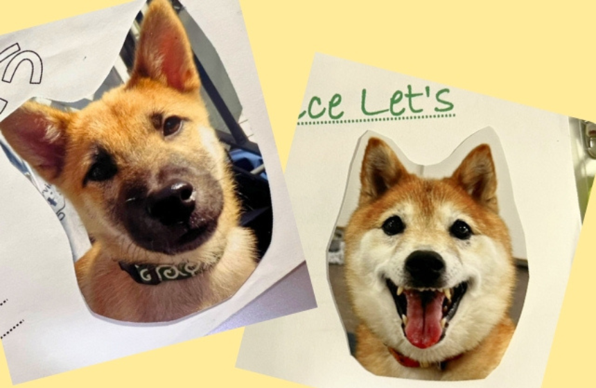 連絡帳の表紙にも、写真を貼ってくれます。１枚目は2011年、初めてレッツに登校した日。連絡帳は、コミュニケーションノートでもあり、成長記録でもあるのです。