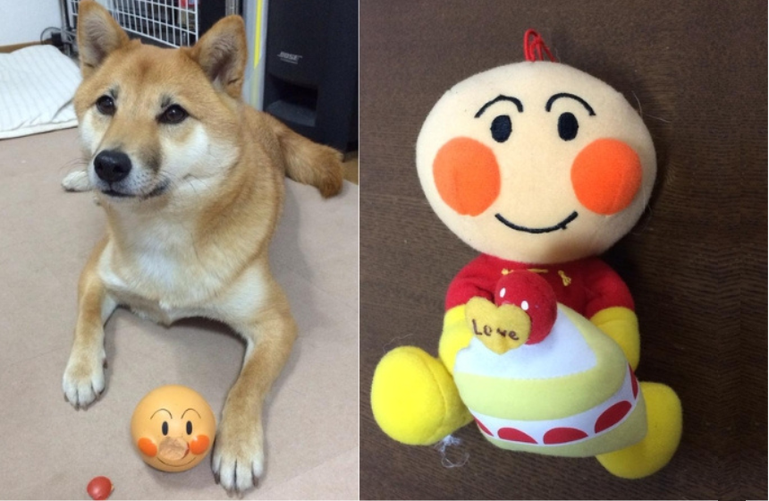 「これ（鼻）はこうだ！」と言わんばかりのドヤドヤフェイス。