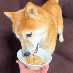 「おいしいねぇ！」という声が聞こえてきそうな食べっぷりに、飼い主も感動中。