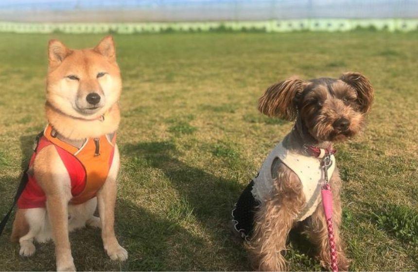 お友達とおやつの順番待ち。仲良しさんと食べるの嬉しいね。