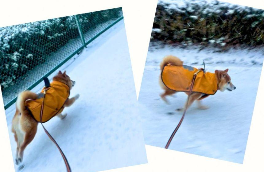 14歳8ヶ月のパワフル・ダッシュ！