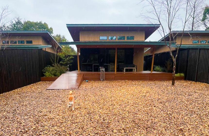 一瞬の小雨タイムにプライベートドッグランを満喫！（正味５分）