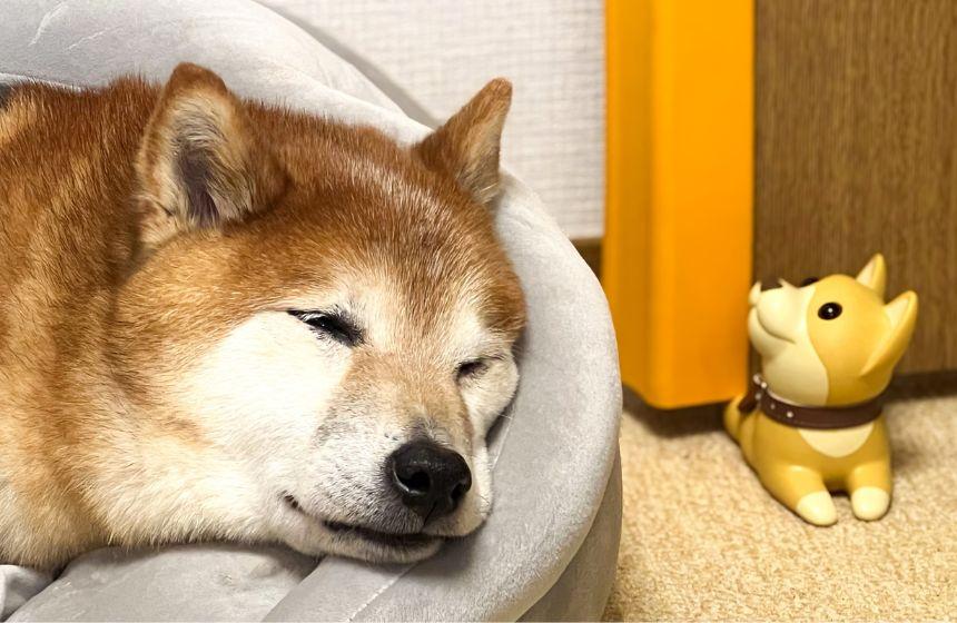 おつかれさまでした。よく頑張ったね。ゆっくり寝てね。