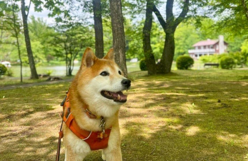 「ここ初めてきたね！」この嬉しそうな顔が見たくて、旅行計画をしています。
