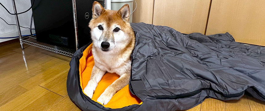 慣れさせることが大切、ということで普段でも時々防災寝袋を出して置いておくと、自分から入ってくつろぐことも。