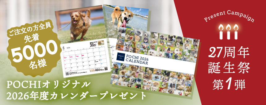 《27th誕生祭 vol.1》ご注文のお客様全員対象！先着5000名様POCHI2026年カレンダープレゼント