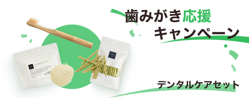 《歯みがき応援キャンペーン》気になるお口のニオイに。POCHIデンタルケアセットのご紹介