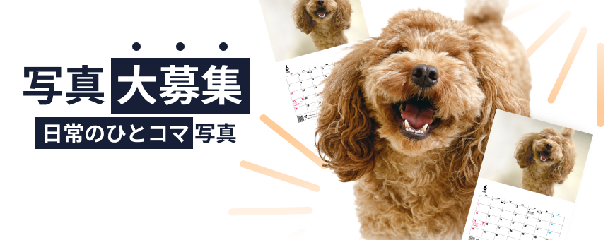 なんでもない日常のひとコマ写真大募集！《POCHI 2027年度版カレンダー掲載》