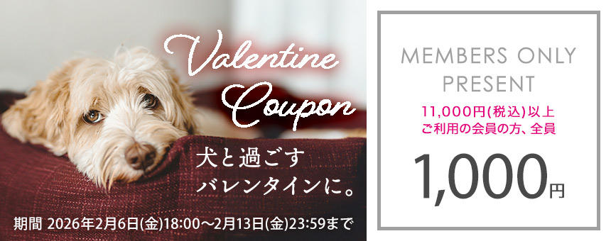 2/13(金)23:59まで！バレンタインクーポン1000円＆バレンタインにオススメオヤツをピックアップ