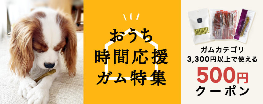 ガムカテゴリクーポン